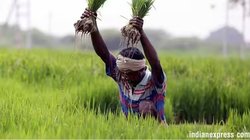 PM Kisan के बाद किसानों को मोदी सरकार दे सकती है बड़ा तोहफा, क्या सीधे खाते में आएंगे खाद-बीज के पैसे? जानें कृषि मंत्री ने क्या कहा