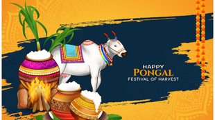 Pongal । Pongal 2025 । Pongal Wishes । what is Pongal