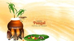 Happy Pongal 2025 Wishes Images, Quotes: नई फसल के संग आए जीवन में नई आस…इन संदेशों के साथ अपनों को दें पोंगल 2025 की बधाई