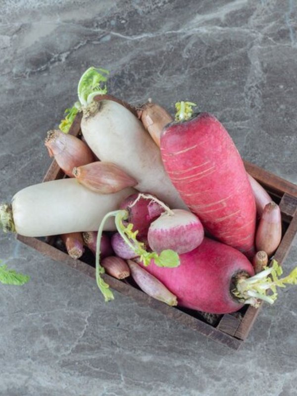 Why does eating radish cause gas,how to eat radishes, how to eat radishes raw, right way of eating radish, right time of eating radish