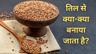 sesame seeds ред sesame seeds in Hindiред sesame seeds nutrition