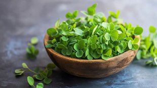 Brahmi water for hair regrowth