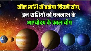 tirgrahi yog in meen, tirgrahi yog in meen 2025