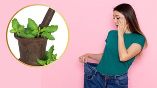 tulsi ka kadha for weight loss