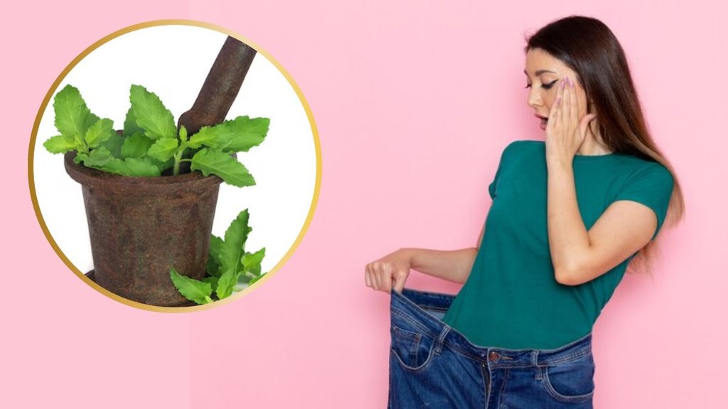 tulsi ka kadha for weight loss