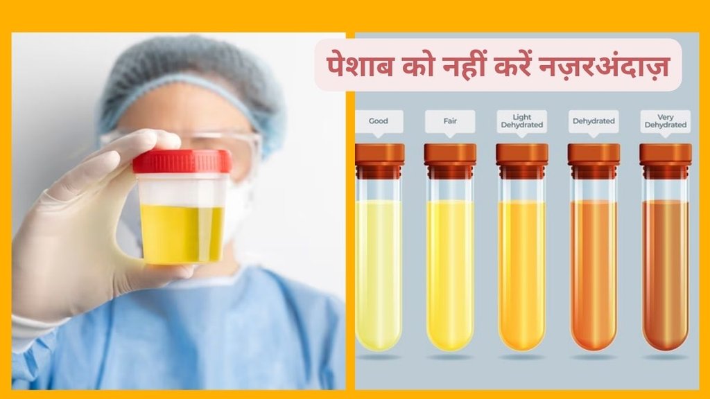 Bubbles in urine, proteinuria, kidney problems, dehydration, UTI, anal fistula, urine analysis, hydration, health checkup