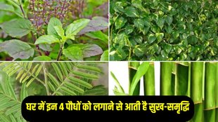 vastu shastra for home, vastu tips for home, vastu upay