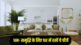 Vastu Showpiece for Home, Vastu Niyam For Happiness Wealth And Prosperity