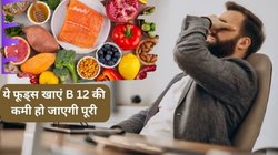 B-12 Supplement Guide: क्या सोने से पहले ले सकते हैं विटामिन B 12 सप्लीमेंट, एक्सपर्ट से जानिए क्या है खाने का तरीका