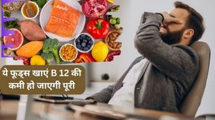 do dates increase vitamin b12, how can i raise my b12 levels quickly, what happens if we eat dates daily, how many dates to eat per day, which fruit is rich in b12,