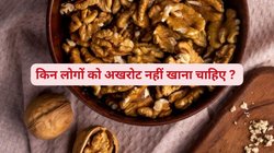 सेहत के लिए अमृत है अखरोट, लेकिन इन 4 बीमारियों में बन जाता है ज़हर, जानिए कैसे