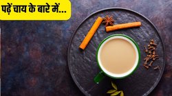 1 देश कई चाय… कश्मीर से लेकर कन्याकुमारी तक मिलते हैं ये Tea, इनमें से आपके यहां कौन सी है फेमस?