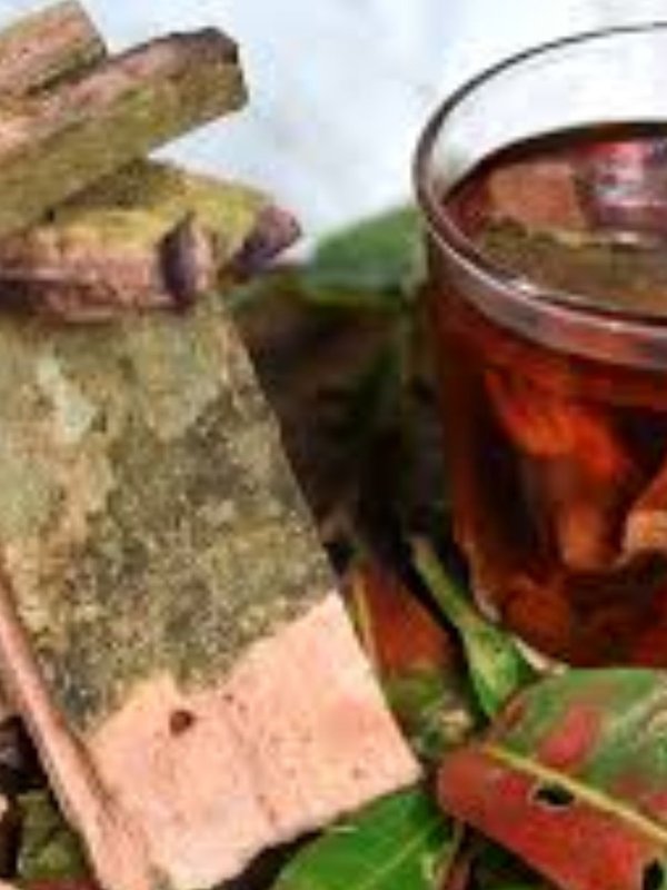 arjun water benefits, arjun water benefits in hindi, Arjuna bark water for sugar, Arjuna bark water, arjun ki chhal ke fayde