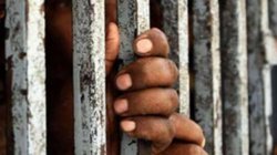 Tochigi Women Prison: आखिर क्यों पसंद था इस बूढी महिला को जेल की सलाखों के पीछे रहना, वजह जानकर हैरान रह जाएंगे आप