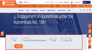 BOB Vacancy 2025, bank of Baroda, Banking job,