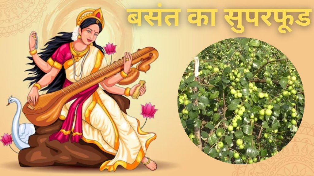 Benefits Of Jujube Fruit