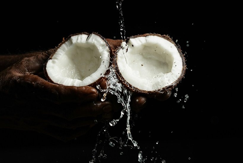 Coconut in Shiva Worship