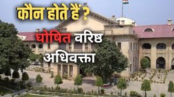 Declared Senior Advocate: कौन होते हैं घोषित वरिष्ठ अधिवक्ता और कैसे मिलती है यह उपाधि? जज और जस्टिस में क्या है अंतर; जानिए हर सवाल का जवाब