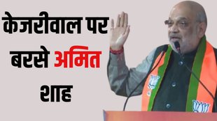 Amit Shah attacks AAP on Yamuna pollution, Amit Shah slams Arvind Kejriwal over Yamuna, Delhi elections 2025 Yamuna water crisis,