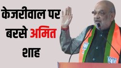 Delhi Elections 2025: ‘दिल्ली में BJP की सरकार बना दो, मैं खुद यमुना में डुबकी लगाऊंगा…’ चुनावी जनसभा में गरजे अमित शाह 