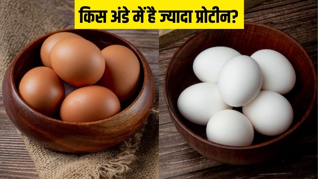 White egg vs brown eggs । Protein in White egg । Protein in brown egg