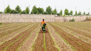 farmer news, kisan news, natural farming