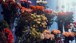 Gardening Tips ред Gardening Tips in hindi