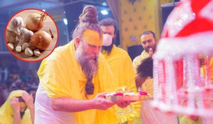 Rule of Laddu Gopal Bhog