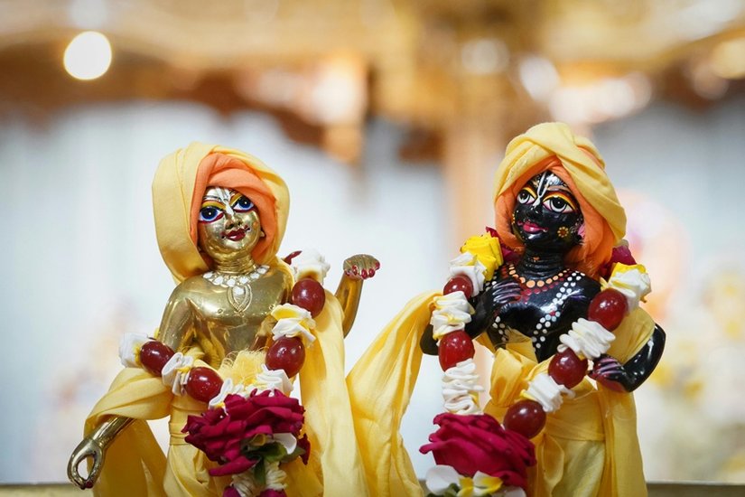 How should Laddu Gopal be offered?