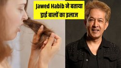 हेयर एक्सपर्ट Jawed Habib ने बताया ड्राई बालों का इलाज, बस नारियल तेल में मिलाकर लगा लें ये 1 चीज