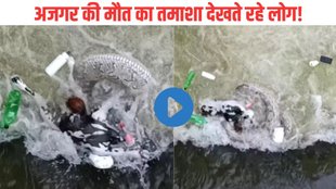 ajgar video| mainpuri ajgar| mainpuri viral video