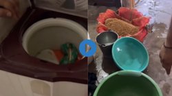 भैया ने वॉशिंग मशीन में सुखा दिया धुला हुआ गेहूं, Viral Video देख यूजर्स बोले – इंडिया से बाहर नहीं जाना चाहिए ये आइडिया