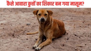 Saharanpur| Saharanpur Dog Attack| Saharanpur