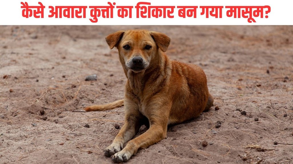 Saharanpur| Saharanpur Dog Attack| Saharanpur