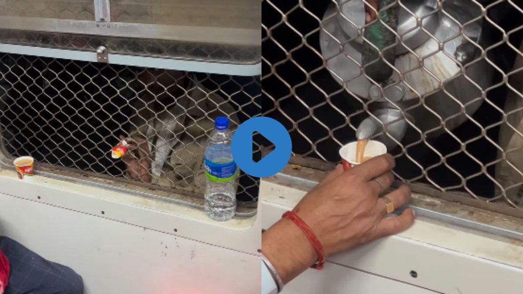 viral video| Tea vendor Viral Video| Tea Vendor