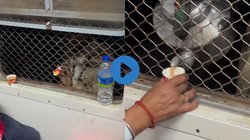 ‘गुजरात की हवा में ही व्यापार है साहब…’, लोकल ट्रेन में चाय बेचने का वेंडर ने लगाया ऐसा जुगाड़, Viral Video देख यूजर्स रह गए भोचक्के