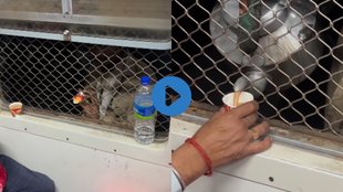 viral video| Tea vendor Viral Video| Tea Vendor