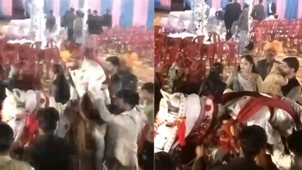 Groom Death| MP News| Groom Heart Attack