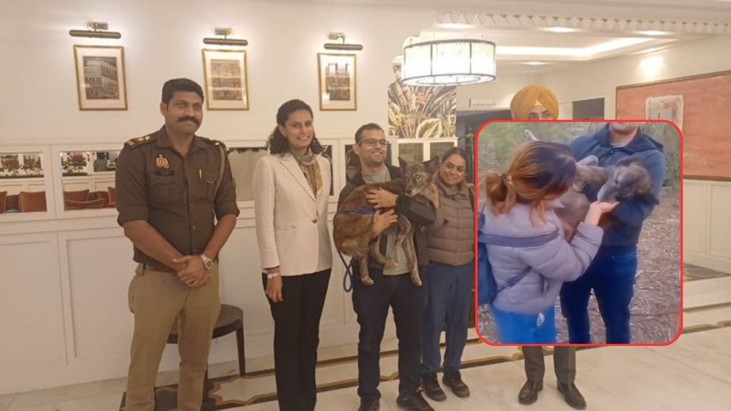 Pet Dog| Lost pet Dog| Gurugram Couple Lost Pet Dog