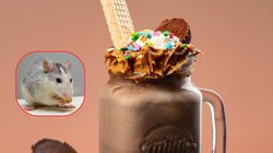 पुणे : चॉकलेट शेक में मिला मरा हुआ चूहा, शिकायत करने पर कैफे मालिक ने दी धमकी