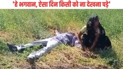 प्रशासन ने खड़ी फसल पर चला दिया ट्रैक्टर तो खेत में ही बेहोश होकर गिर पड़ा किसान, छाती पीटकर रोने लगी पत्नी, Viral Video देख पसीज जाएगा कलेजा