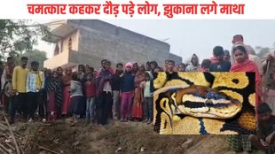 Bihar News| Begusarai Snake| Begusarai Shivling
