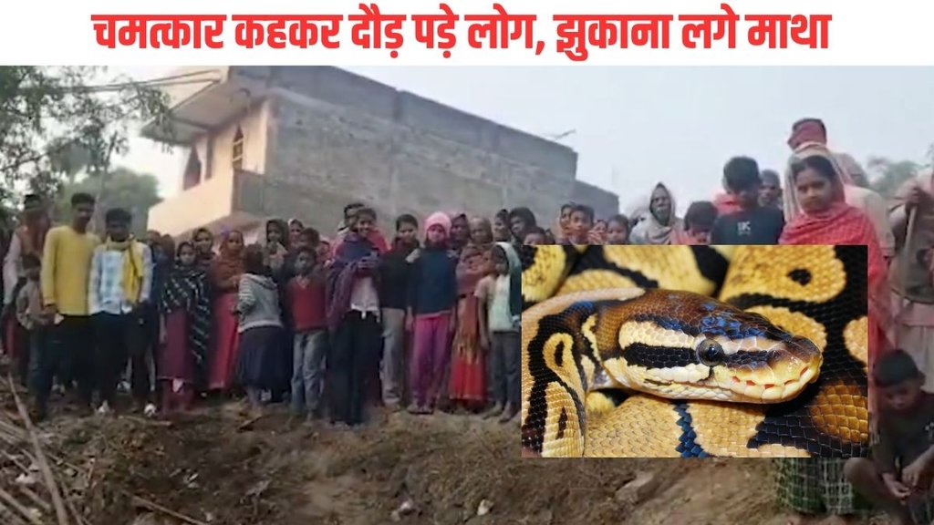 Bihar News| Begusarai Snake| Begusarai Shivling