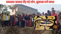 सांप को मारने के लिए फेंका डंडा, लड़खड़ाकर गिरा तो पत्थर से टकराया, फिर दिखा कुछ ऐसा – जोड़ लिए हाथ, उमड़ी भीड़