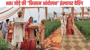 Punjab viral Wedding, NRI Couple viral Wedding, Punjab NRI Couple Viral Wedding