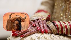 भैंस खरीदने के लिए भाई के साथ शादी करने बैठ गई महिला, ऐसे खुल गई सारी पोल, सभी रह गए दंग