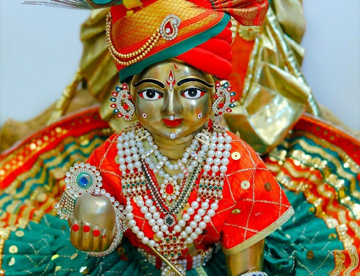 Does and don't laddu gopal idol