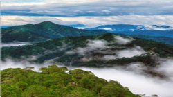 Lansdowne Trip Plan: लैंसडाउन जाने के लिए कितने दिन चाहिए? ऐसे करें यहां घूमने की प्लानिंग