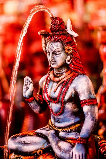 Maha Shivaratri flowers