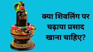 Shiv Puja ke Niyam, Lord Shiva, Shivling Puja, Bhagwan Shiv, Bholebaba, Shivling Prasad Rule, Shivling Puja Rule, Shivling Puja Niyam, Shivling Prasad Niyam, Shivling Prasad, Shiv Ka Prasad, Shivling prasad Story, Shivling Bhog Niyam